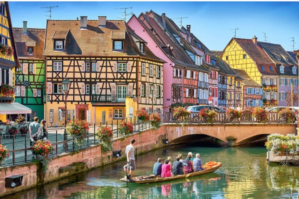 Colmar Centre - Le Schickele公寓 外观 照片